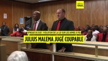 Afrique du Sud : Malema condamné pour possession d'armes à feu
