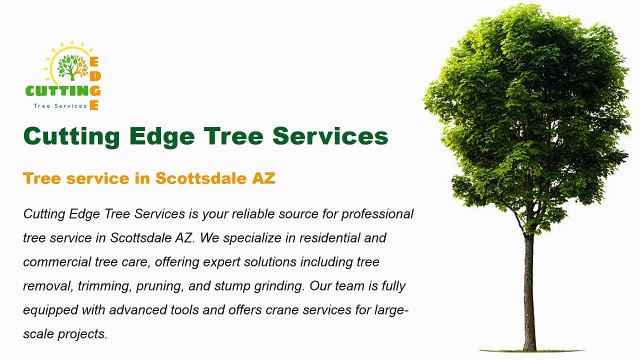 Cutting Edge Tree Services | Tree service in Scottsdale Az