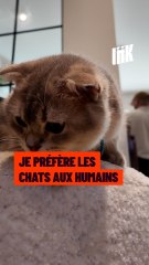 « Je préfère les chats aux humains »