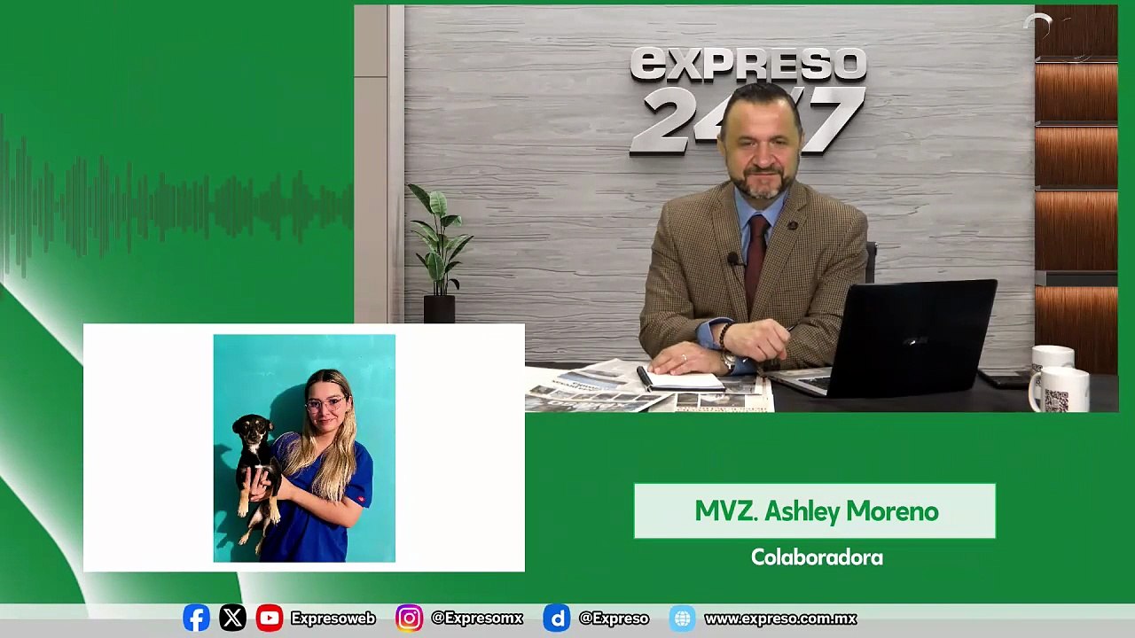 Noticiero Expreso 24/7 (1890)
