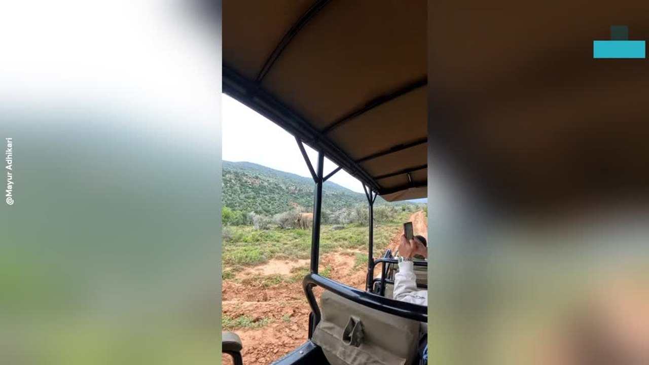 Elephant Charges at People While on a Safari