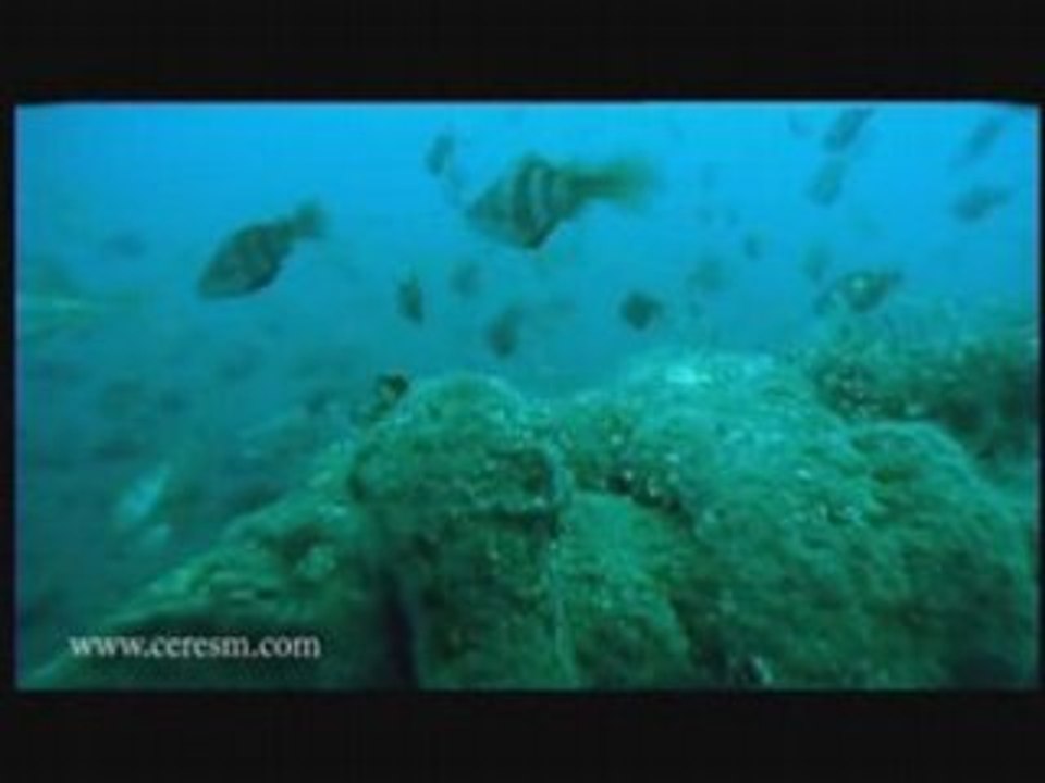 shipwreck of the Guernsey over Cotentin  in Normandy