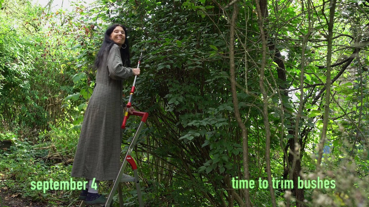 September in a box - with the backing track of 'Englishman in New York by Sting.