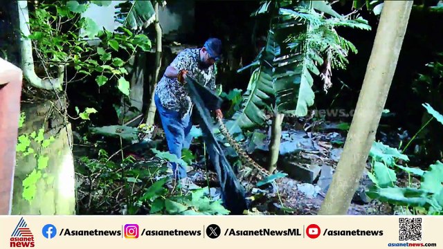 കൊന്നാലും താഴെ ഇറങ്ങൂല....; പകൽ മുഴുവൻ മരത്തിന് മുകളിലിരുന്ന പാമ്പിനെ താഴേക്ക് ഇറക്കി