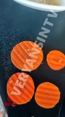 KKTC'deki KYK yurdunda hijyen skandalı: Yemeklerden kıl ve kurt çıktı!