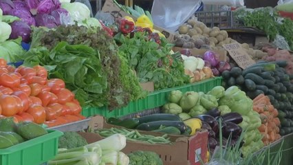 Piden consumir alimentos sanos