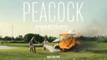 'Peacock' - Tráiler Oficial
