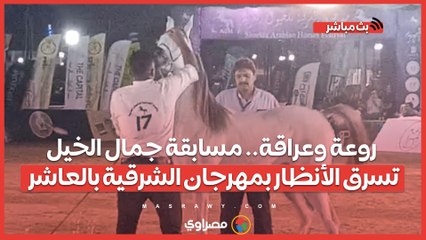 روعة وعراقة.. مسابقة جمال الخيل تسرق الأنظار بمهرجان الشرقية بالعاشر