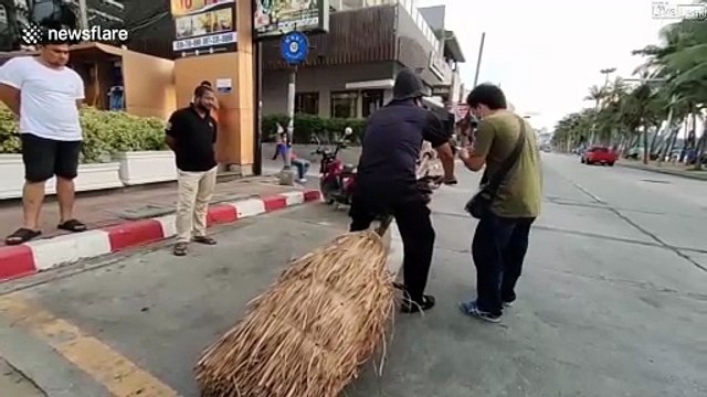 Un motard fan d'Harry Potter... moto à balai