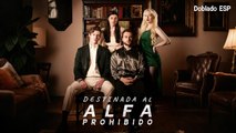 Esp Destinada Al Alfa Prohibido Completo