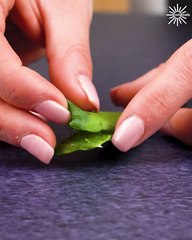These tips are here to help