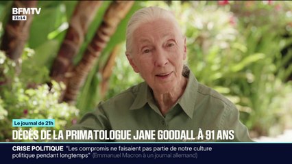 La célèbre primatologue britannique Jane Goodall est morte à l'âge de 91 ans