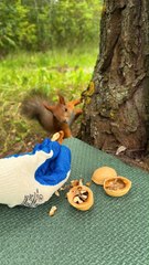 Adventures of a beautiful woman in the forest!