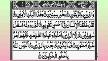 Surah At-Tin | Beautiful Quran Recitation | Surah Wat Teen