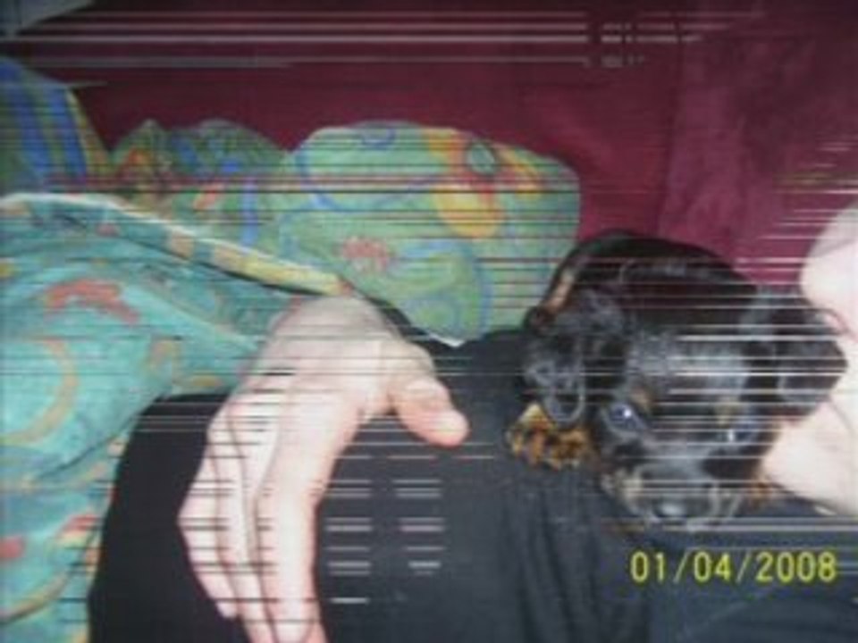 1kinaï ta tite cloche ne sonnera plus