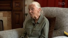 Jane Goodall Dies at 91 While on Speaking Tour: She Was a 'Tireless Advocate' for Nature