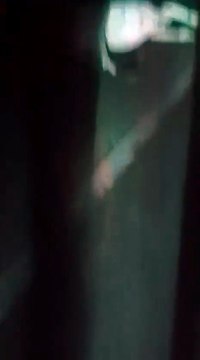 Acidente grave na CE-085 deixa vacas mortas e veículos destruídos