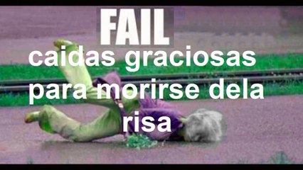 Risas con doble sentido: humor absurdo e ingenioso