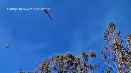 Firefighters battling bushfire in Yerriyong