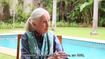 Entrevista com Jane Goodall sobre natureza e mudanças climáticas