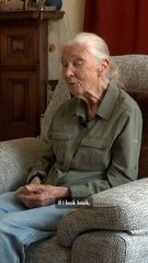 Jane Goodall Dies at 91 While on Speaking Tour: She Was a 'Tireless Advocate' for Nature