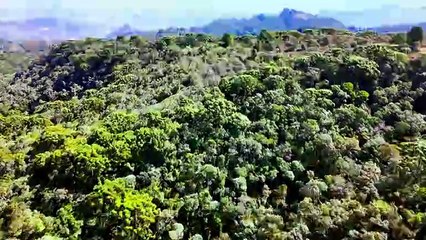 Wheeler Dealers World Tour S02E02 Brazil