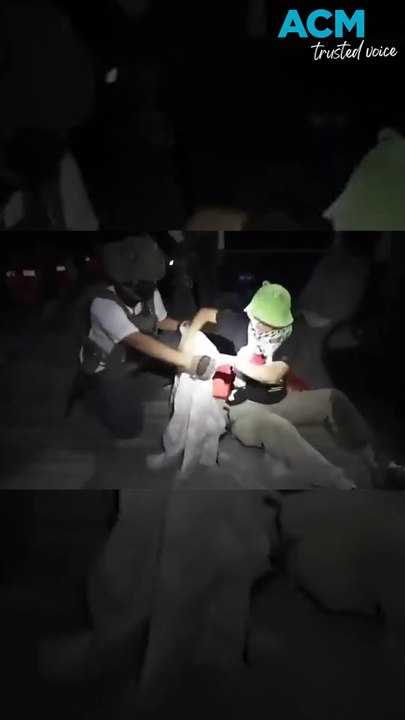 Activist Greta Thunberg detained as Israeli navy intercepts Gaza flotilla