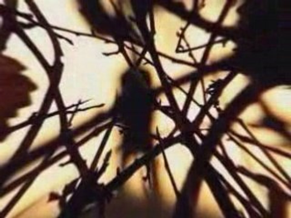 Gorges-feuilles-1min23-2008