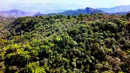 Wheeler Dealers World Tour (2024) Season 2 Episode 2