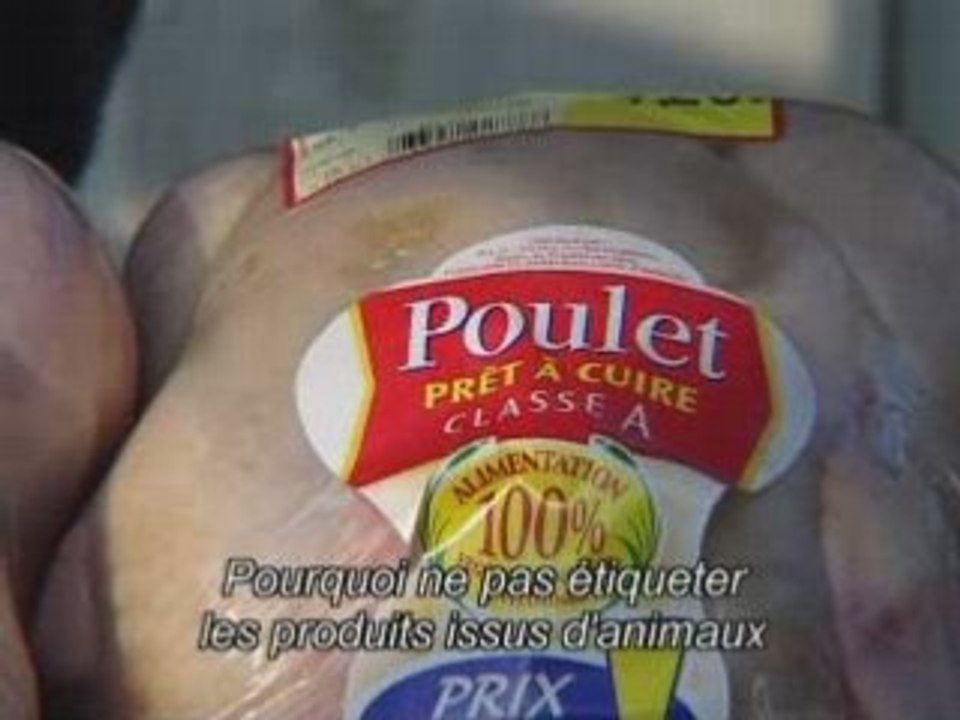 Sur la trace des OGM