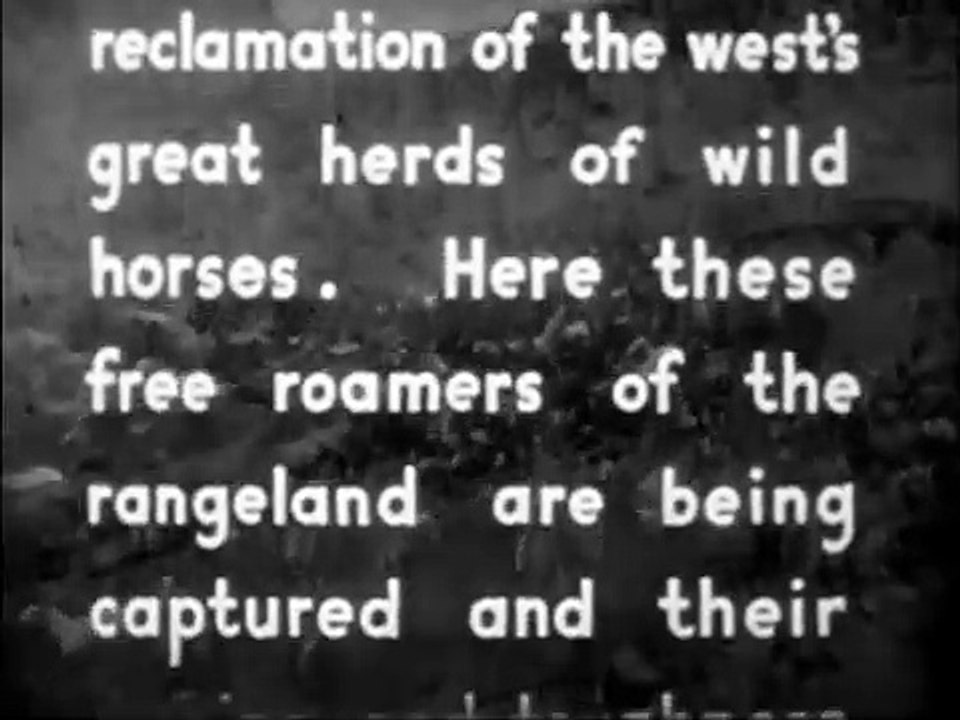 Ridin' Down the Canyon (1942)