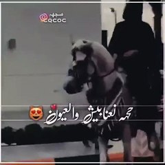 بالفيديو فتاة تفاجئ الجميع بركوبها خيل وتتجول به في ساحة عامة !