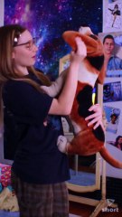 Awkward Junior - Love Lessons shortmintz