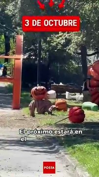 ¡Otoño, Halloween y Diversión! Ven al Parque de las Calabazas 2025 en Parque Fundidora