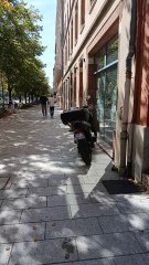 Toulouse Best Green Scene