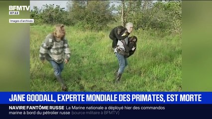 La célèbre primatologue britannique Jane Goodall est morte à l'âge de 91 ans