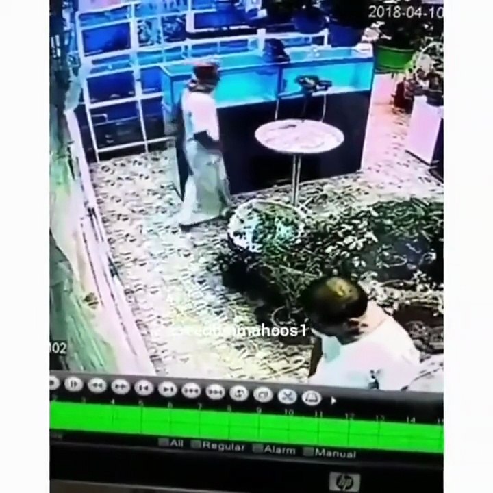 بالفيديو شاب يقوم بسرقة ببغاء من محل طيور أمام الزبائن