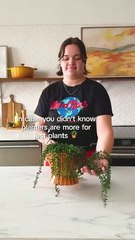 In case you didn't know, planters are more for just plants #kitchenhacks #kitchendecor