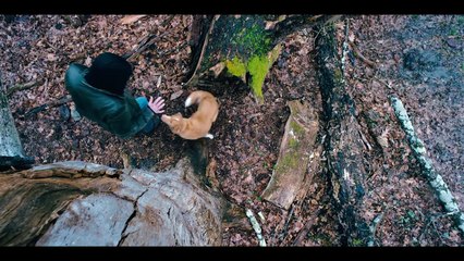 Good Boy Movie Clip - Whistle In The Woods