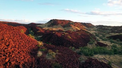 Top statistician breaks silence over Murujuga rock art study near Woodside gas plant