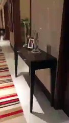 هل تستجيب نجوى كرم للدلال المفرط وتعود إلى الأحضان؟