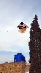 Nahi Bhai Ab Nahi #viralshorts