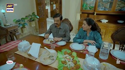 Sheer Pakistani drama second last episode Hindi dubbed