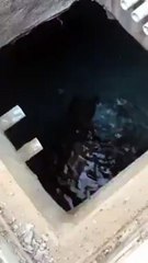 بالفيديو مواطن سعودي ينجح في إستخدام مياه تصريف المكيفات لسقي الأشجار