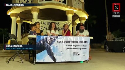 Demanda busca reconocimiento legal de ballenas en el Golfo de California