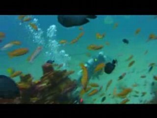 Sabang Wreck, MAY 2008