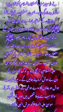 نالشوں اور جھگڑوں کا بیان صحیح بخاری حدیث نمبر 2411 s.click.aliexpress.com/e/_c4UqIvOJ