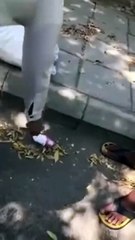 بالفيديو عثور مواطن على رضيع ملقى على رصيف أحد الشوارع بالسعودية