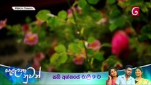 Malory Towers S03E03 Sinhala