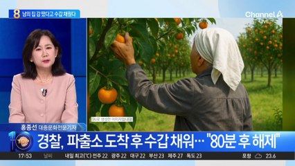 남의 밭 감 따다 체포…1시간 넘게 수갑